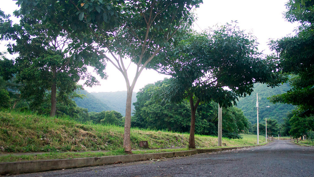 Lomas-de-Monteverde-8